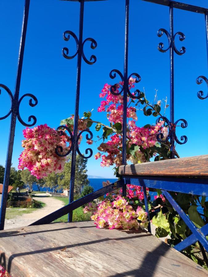 Perdika Sea Soul Villa Екстериор снимка